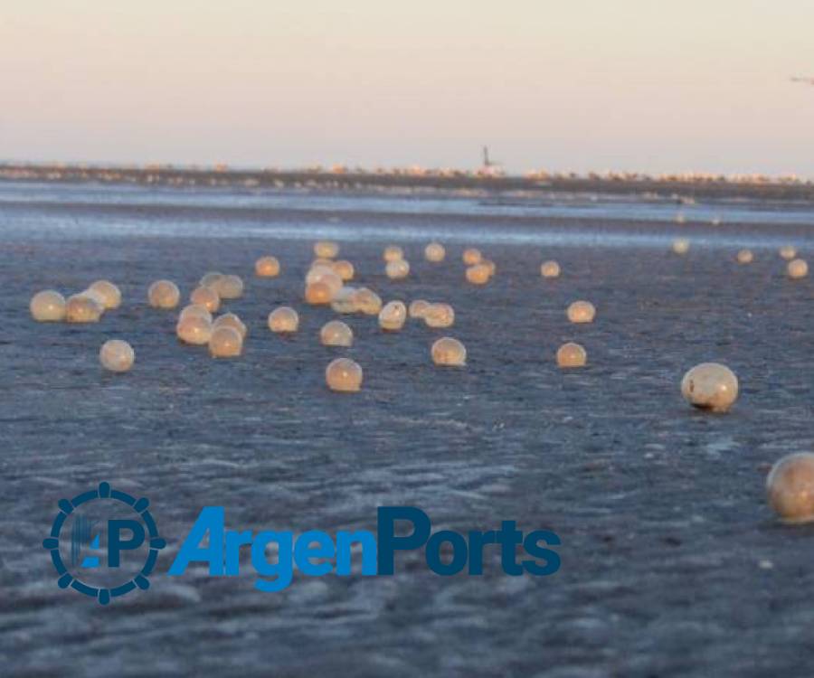 ¿Qué son los arribazones que se producen en la costa y qué pueden traer con ellos?