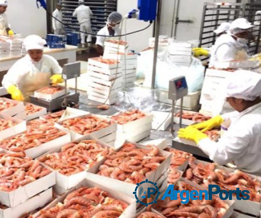 Las exportaciones del sector pesquero cayeron un 8,4% interanual en 2022