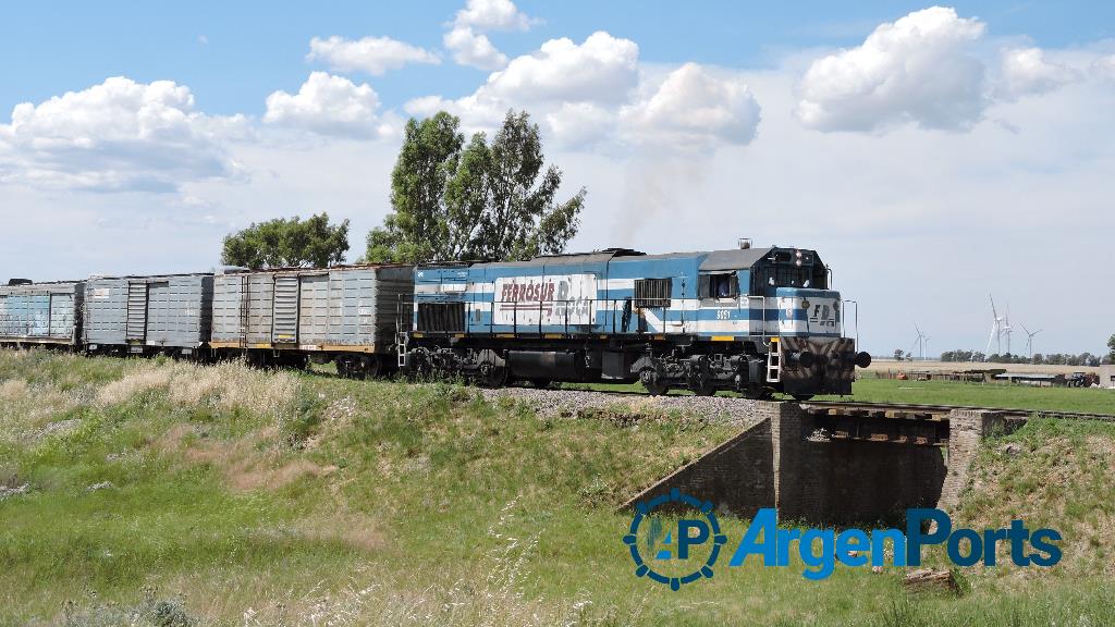 Se confirmaron las ofertas para la playa ferroviaria de Añelo del tren a Vaca Muerta