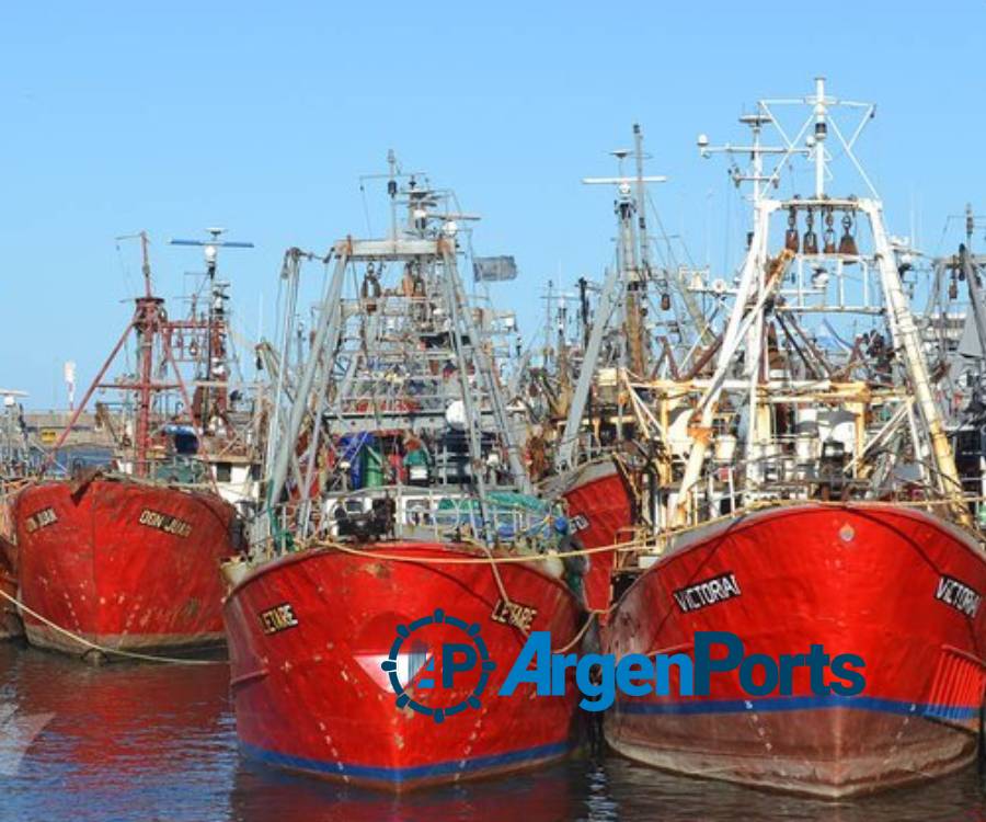 Preocupación por la escasez de desembarcos en el puerto de Mar del Plata