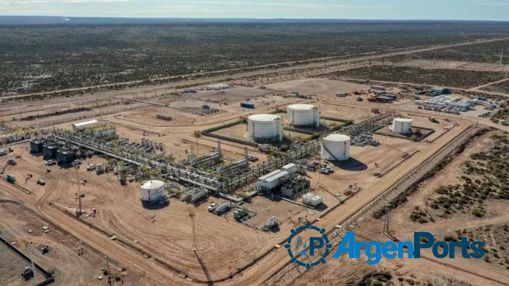 Vaca Muerta: TGS analiza adaptar su planta para poder procesar gas