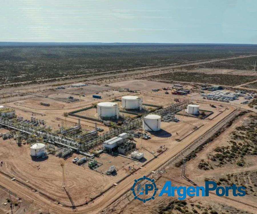 Vaca Muerta: TGS analiza adaptar su planta para poder procesar gas