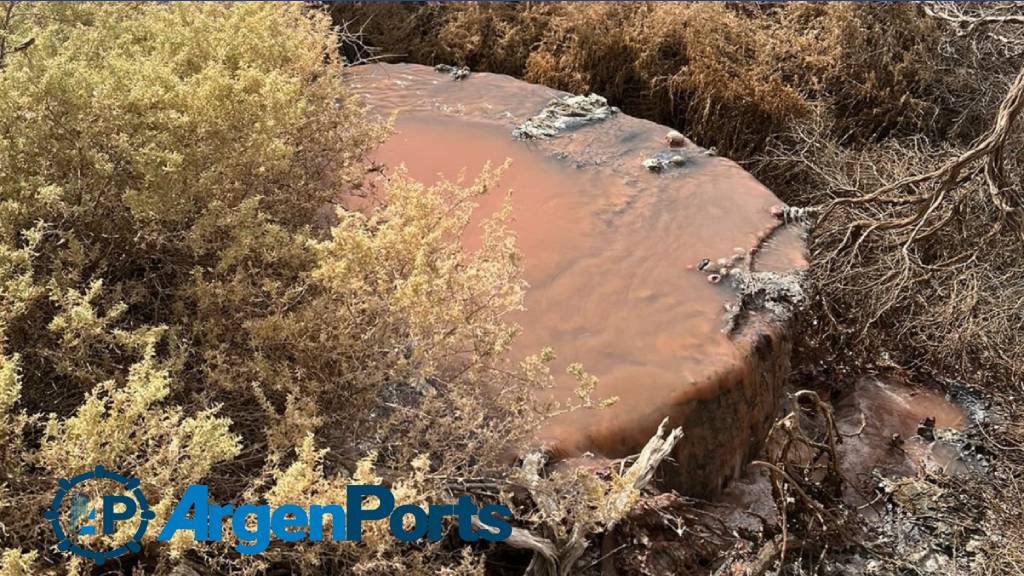 Procesan a una pesquera y dos directivos por contaminar en Chubut