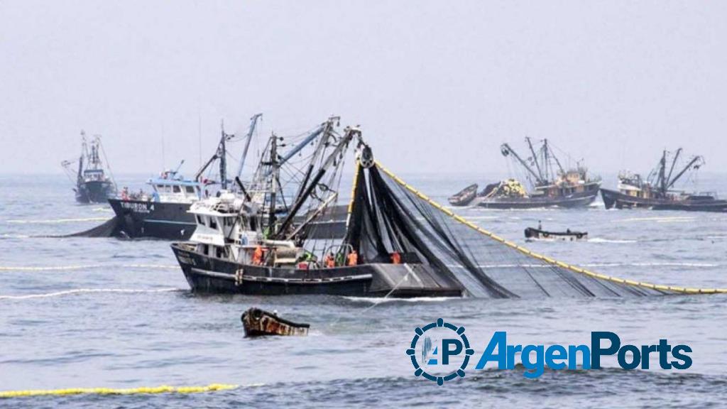 Frente Marítimo: Prohíben pesca de merluza y habilitan la de calamar