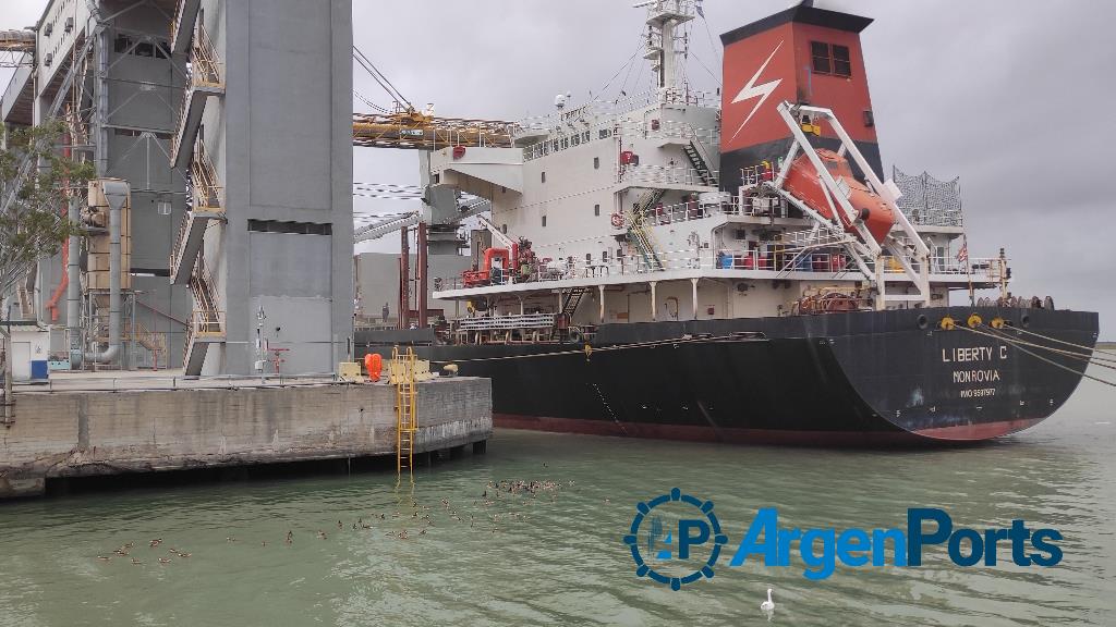 Bahía Blanca: se descargaron 721.710 toneladas de granos durante marzo