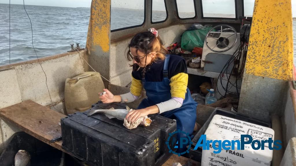 El INIDEP realizó un monitoreo de la flota pesquera artesanal de Monte Hermoso