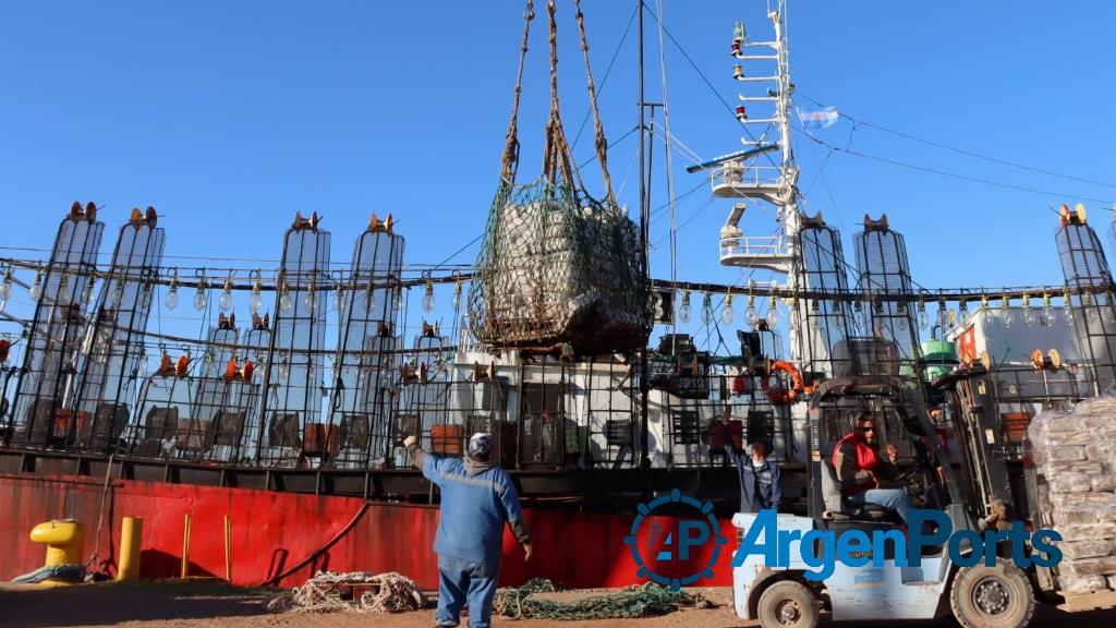 Se realizó en Puerto Rosales la primera descarga de calamar del año