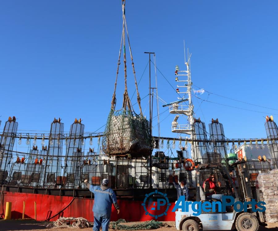 Se realizó en Puerto Rosales la primera descarga de calamar del año