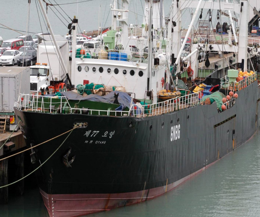 Denuncian que buques chinos y coreanos cazan especies protegidas en la Patagonia