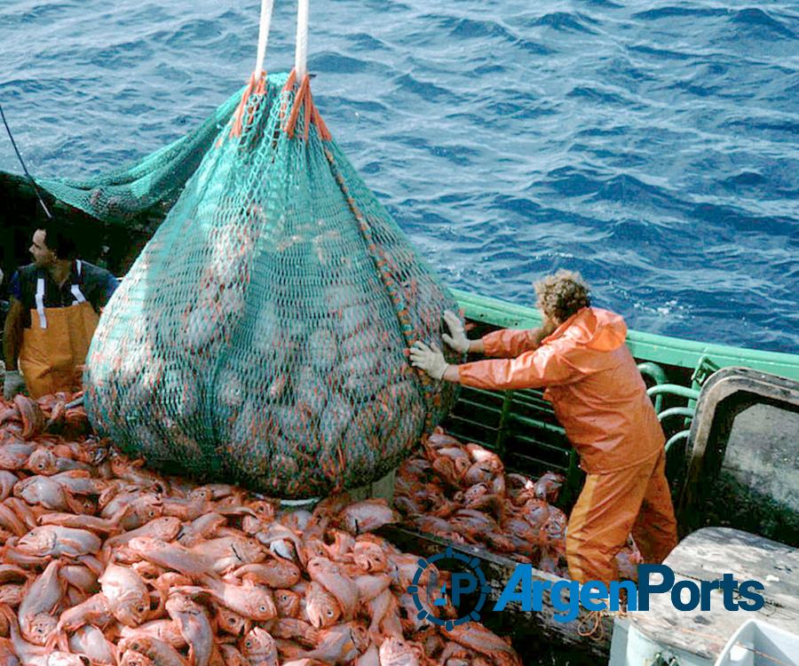 Emiten dictamen de proyecto para crear Sistema de Trazabilidad de Pesca