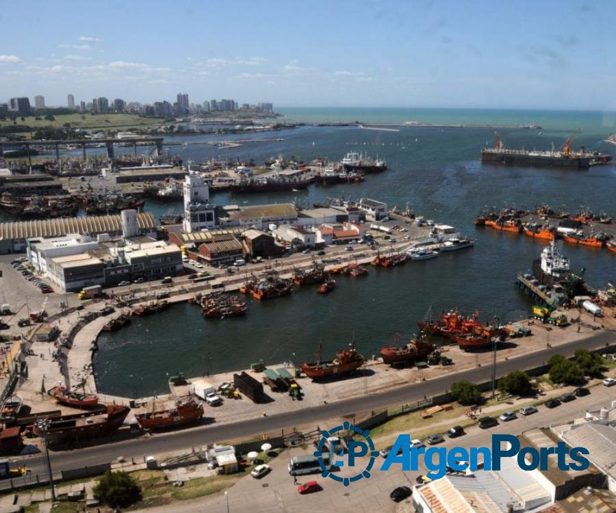 Mar del Plata: paralizan la flota de pesca de vieira en reclamos salariales