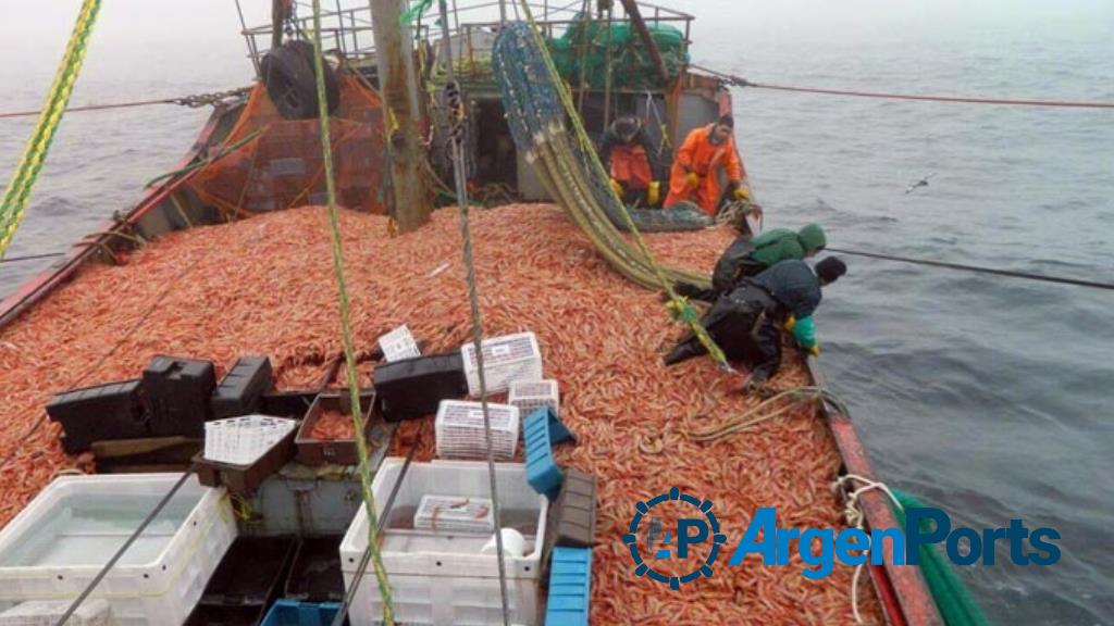 Fiscalizaron cerca del 100% de la descarga de langostino en aguas nacionales