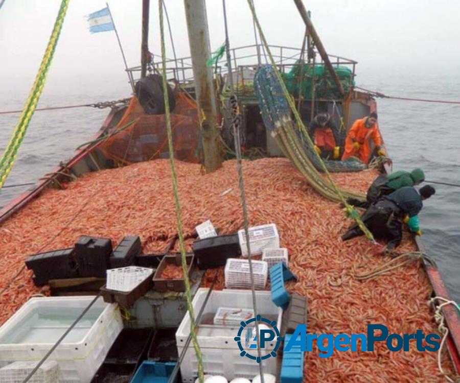 Fiscalizaron cerca del 100% de la descarga de langostino en aguas nacionales