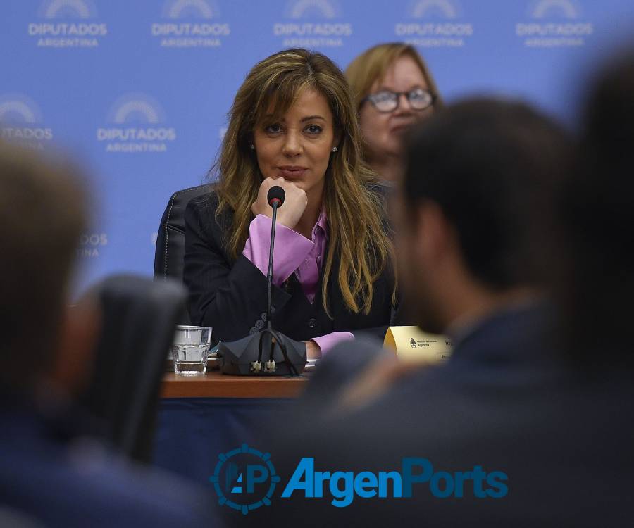 Royon: El desafío "es aprovechar y monetizar" el potencial de Vaca Muerta con plantas de GNL