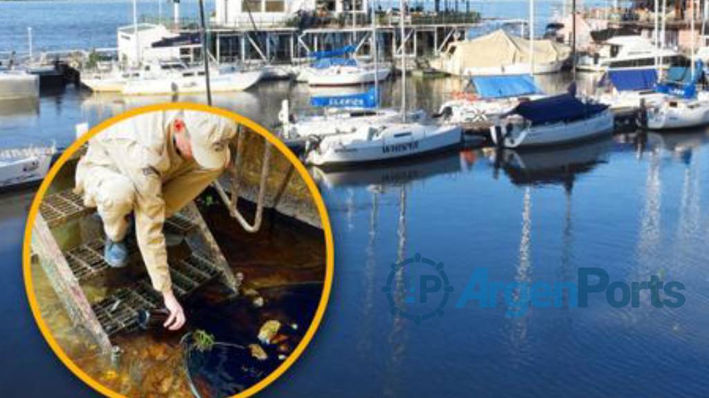 Corrientes denunció a Vías Navegables por contaminar el río Paraná