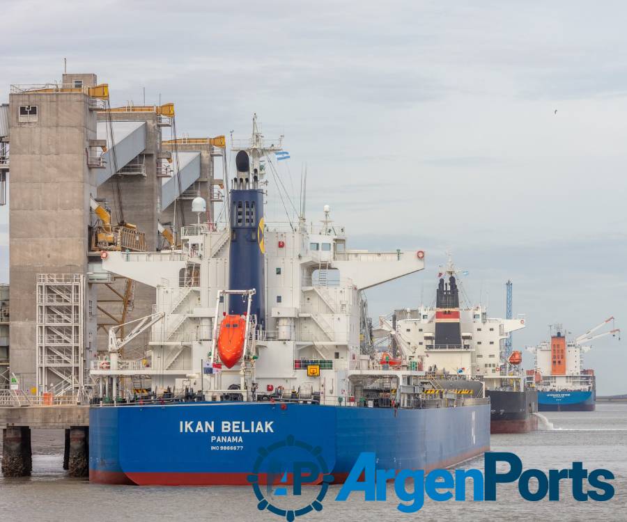 La sequía también se hizo sentir en el puerto de Bahía Blanca