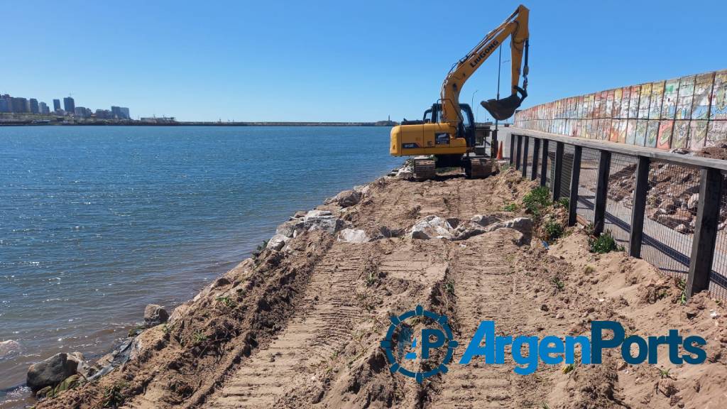 Mar del Plata: obra en Escollera Sur para favorecer la permanencia de lobos marinos