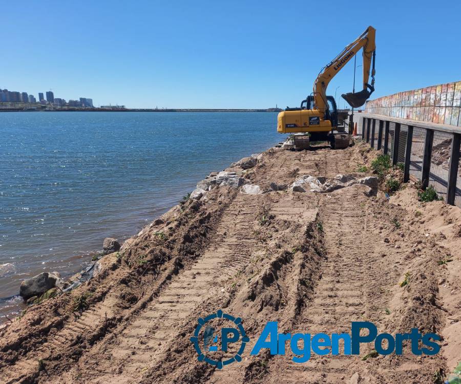 Mar del Plata: obra en Escollera Sur para favorecer la permanencia de lobos marinos