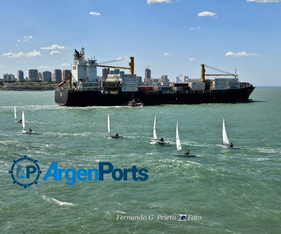 Mar del Plata: interés de MSC, Maersk y CMA-CGM en la exportación de Lamb Weston