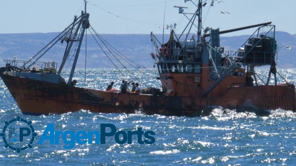 La JST publicó una guía de buenas prácticas para mitigar el riesgo de caída al agua  