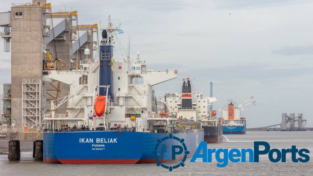 El puerto de Bahía Blanca aún sufre los efectos del violento temporal