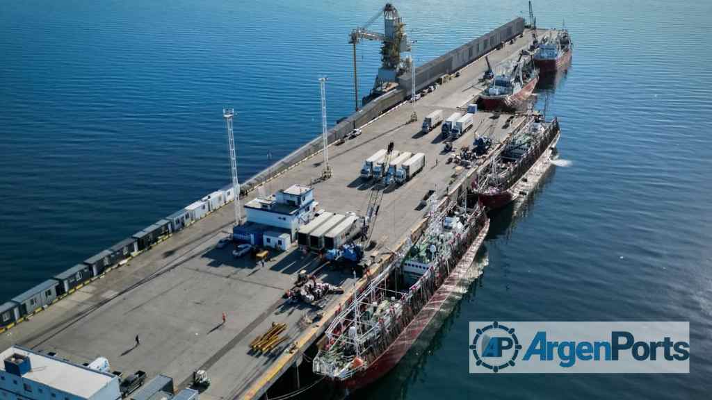 Destacan el éxito de la temporada de descarga de calamar en Puerto Madryn