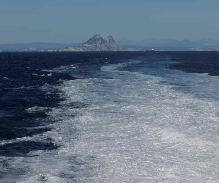 Orcas hundieron un velero en el estrecho de Gibraltar