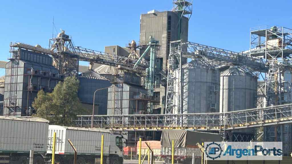 Radiografía de la descarga de camiones con granos en puertos argentinos durante mayo