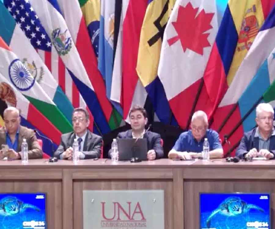 Miguel Angel Sánchez expuso en la precumbre de la Conferencia Mundial sobre los Océanos