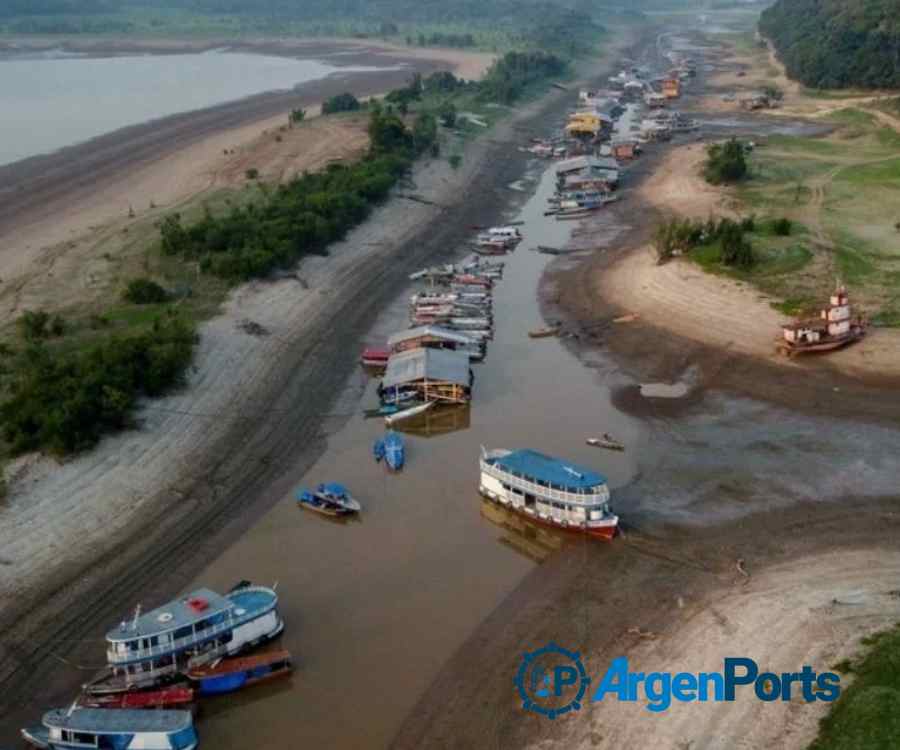 El río Amazonas se está secando: advierten sobre el cambio climático