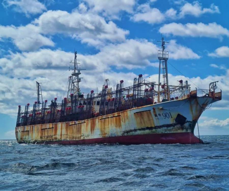 Puja entre provincias patagónicas por la pesca ilegal de barcos chinos