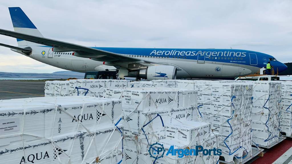 Kicillof: "La Provincia de Buenos Aires está lista para evitar el desguace de Aerolíneas"