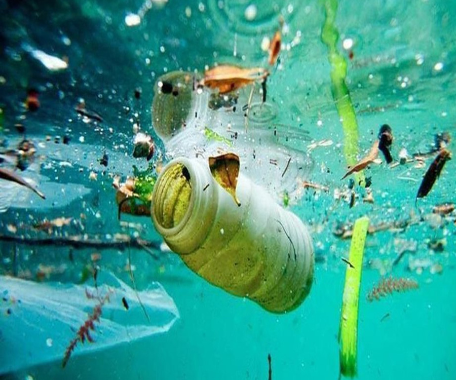 Océanos: Argentina integra una iniciativa mundial para acabar con la basura marina