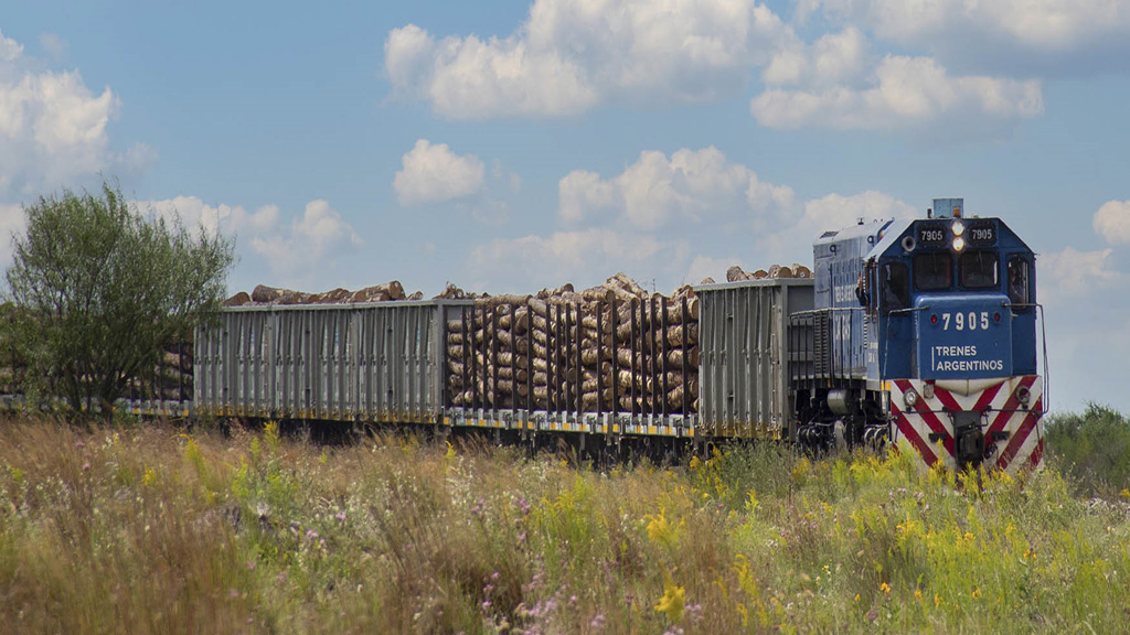 Trenes Argentinos Cargas aumentó un 19% las toneladas transportadas en el primer trimestre