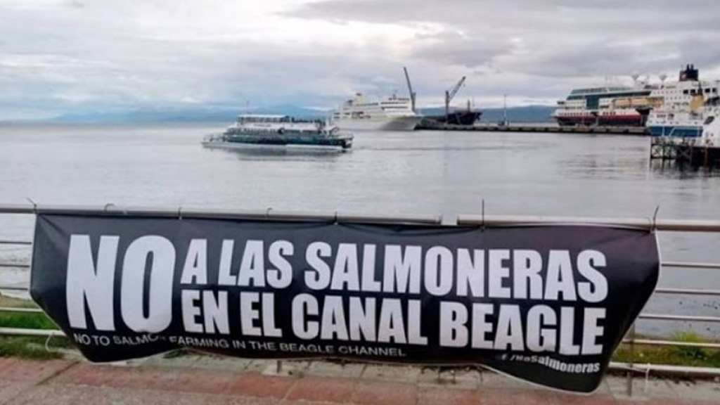 Tierra del Fuego prohibirá por ley la cría de salmones en una medida “inédita en el mundo”