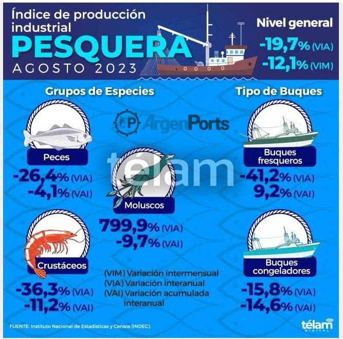 INFOGRAFIA PESCA