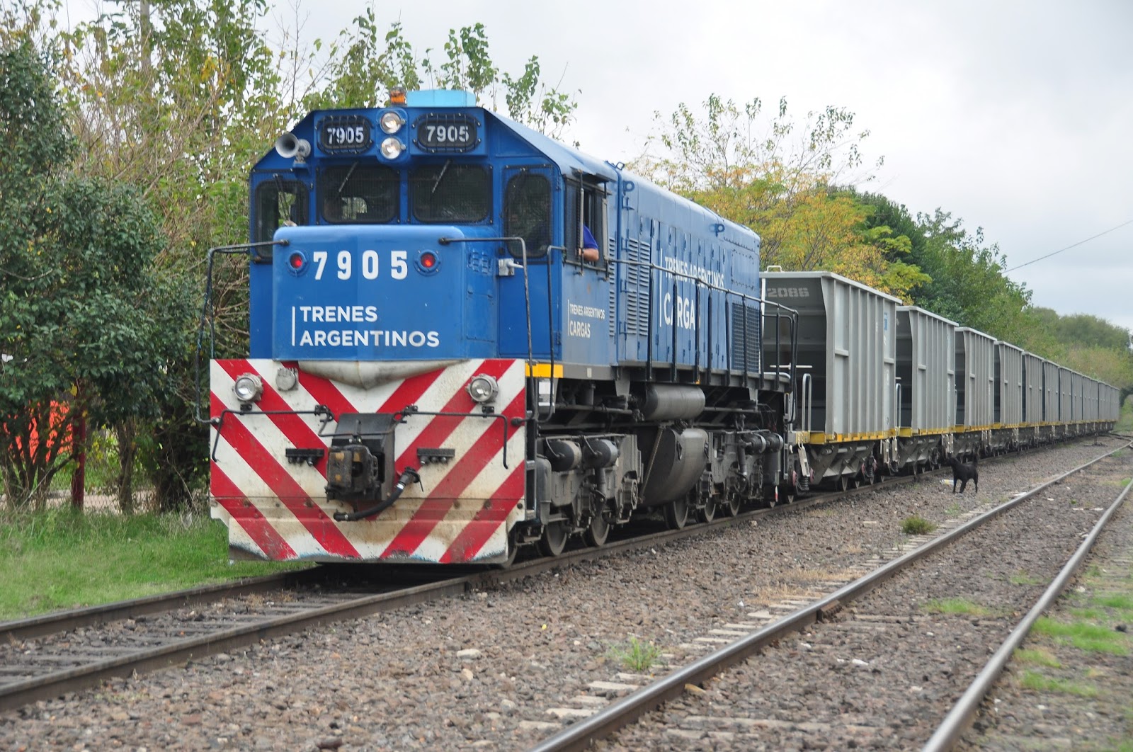 tren de carga argentina